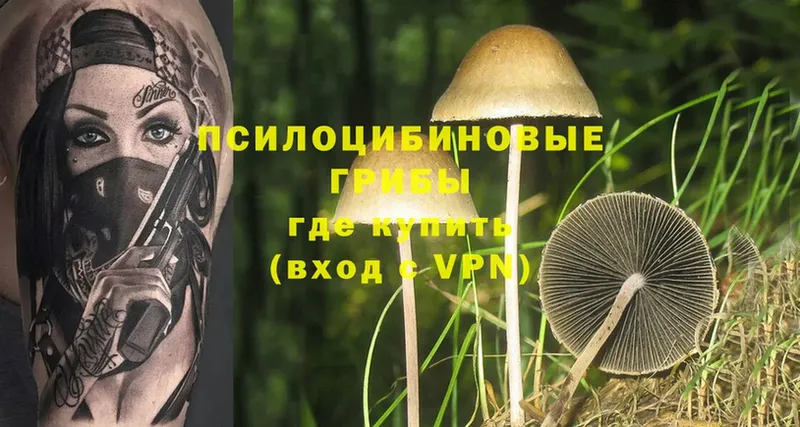 Псилоцибиновые грибы MAGIC MUSHROOMS  Дербент 